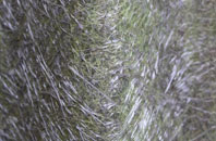 Great Gidding fibreglass roof work